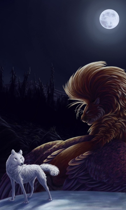 Волк и лев при луне обои