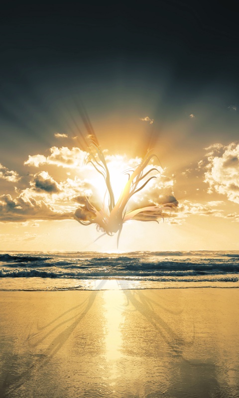 Абстрактные перья на фоне заката обои