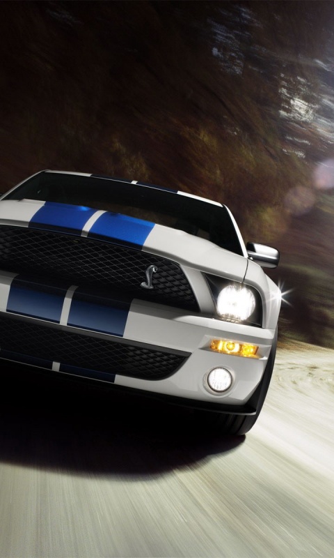 Форд Шелби с синими полосками обои