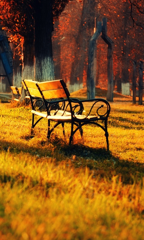 Скаймейка в осеннем парке обои