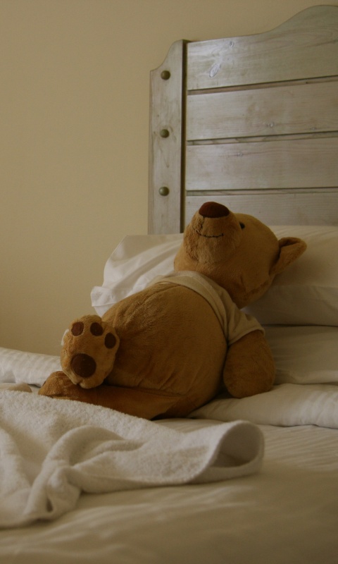 Медвежонок в постели обои