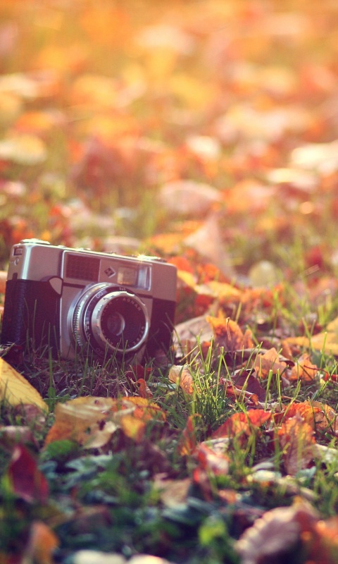 Старый фотоаппарат в траве обои