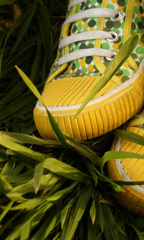 Желтые кеды в горошек обои