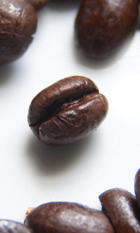 Кофейные бобы обои