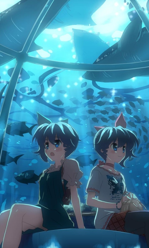 В океанариуме обои