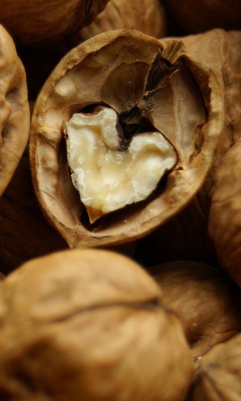 Расколотый орех обои