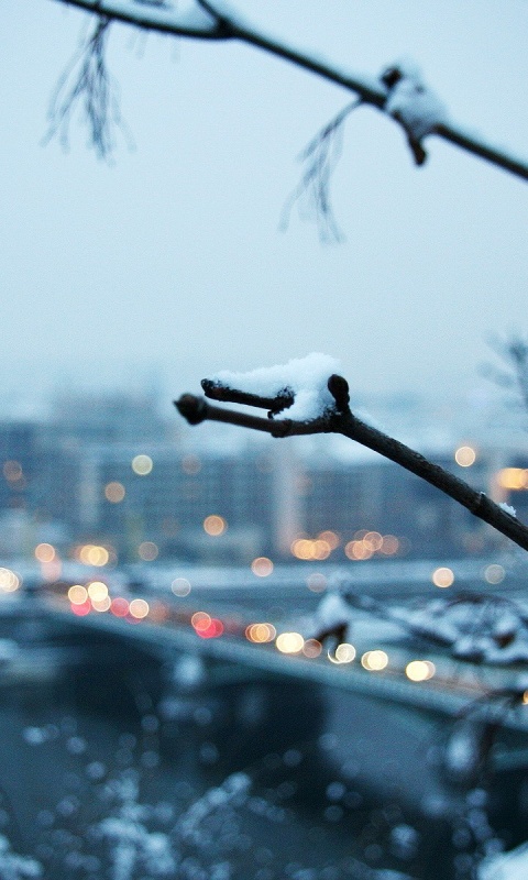 Зима в городе обои