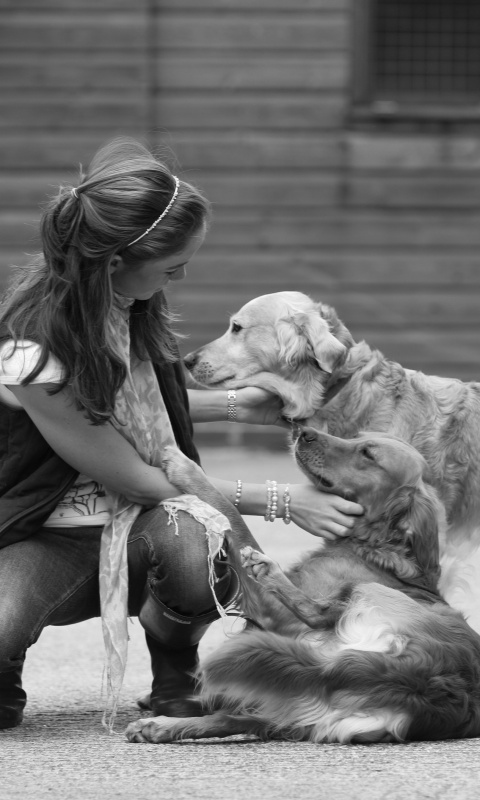 Девушка с собаками обои