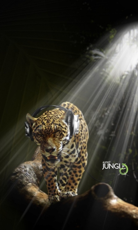 Ягуар в наушниках обои