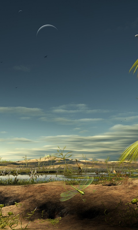 Флора и фауна другой планеты обои