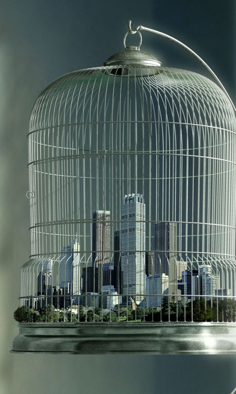 Город в клетке обои