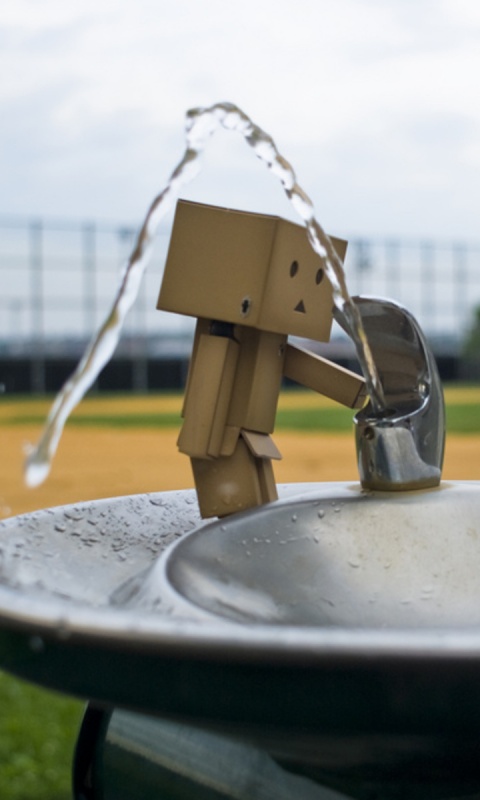 Дандо пьет в воду из фонтанчика обои