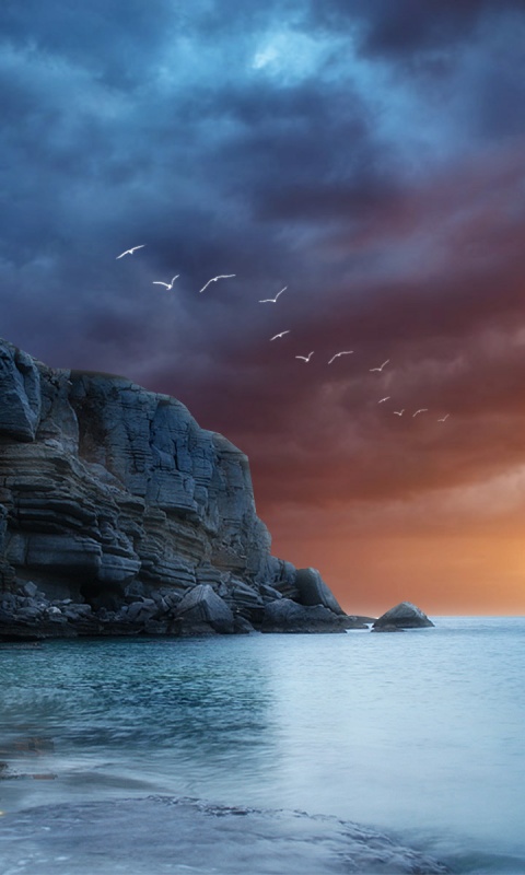 Чайки над скалами обои