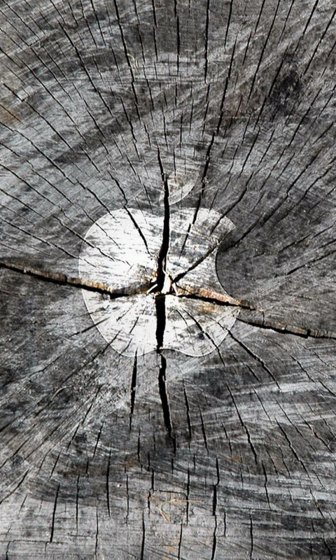 Логотип Apple на бревне обои