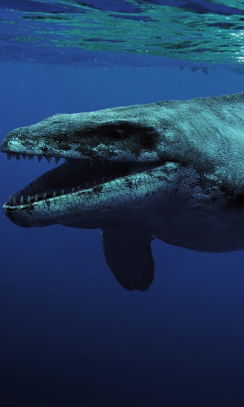 Морской динозавр обои