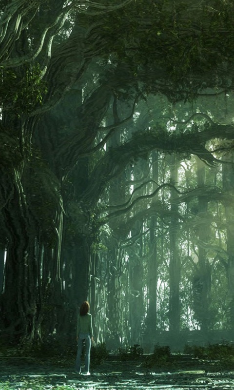 Одна в сумеречном лесу обои