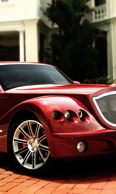 Красный Буфорд обои