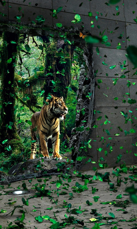 Портал в джунги обои