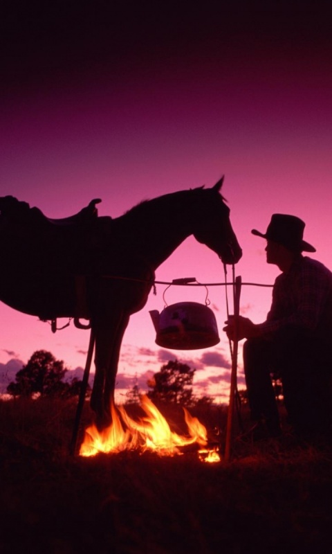 Ковбой на привале обои