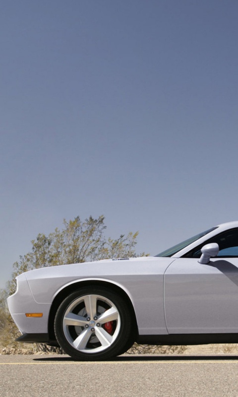 Стартующий Форд Мустанг обои