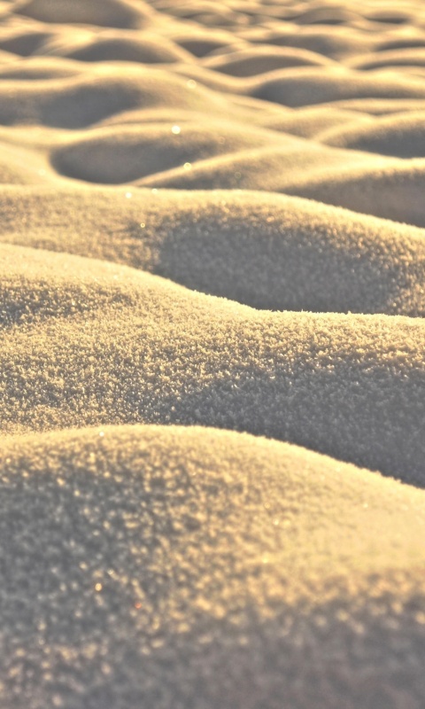 Песчаные бугры обои