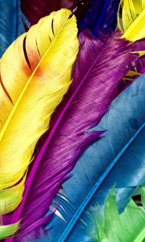 Разноцветные перья обои