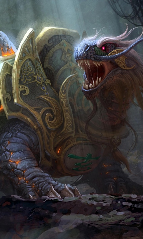 Драон-черепаха обои