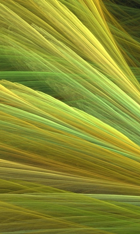 Прозрачные зеленоватые крылья обои