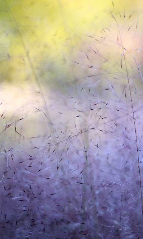 Былинки обои