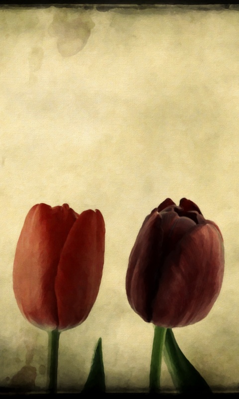 Нарисованные цветы обои