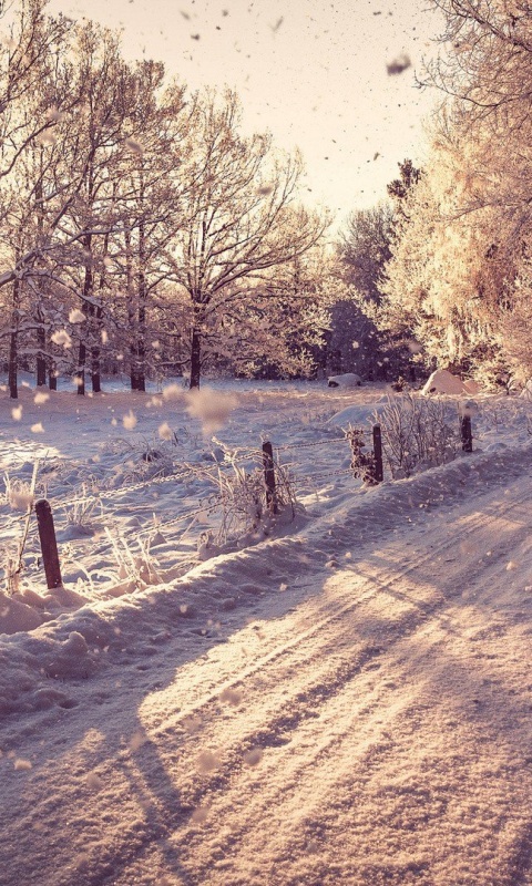 Снежная дорога залитая солнцем обои