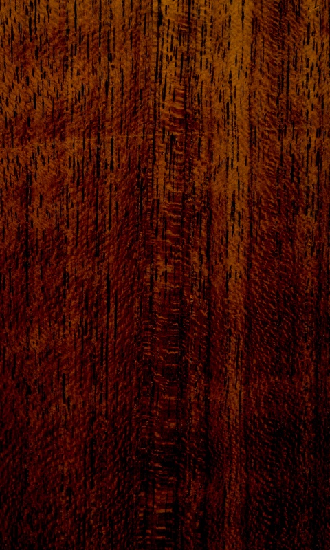 Темно-оранжевое дерево обои