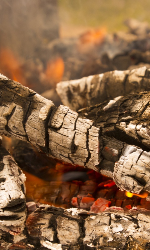 Пылающие дрова обои