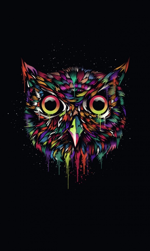 Векторная совиная голова обои