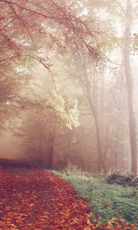 Осенний мистический пейзаж обои