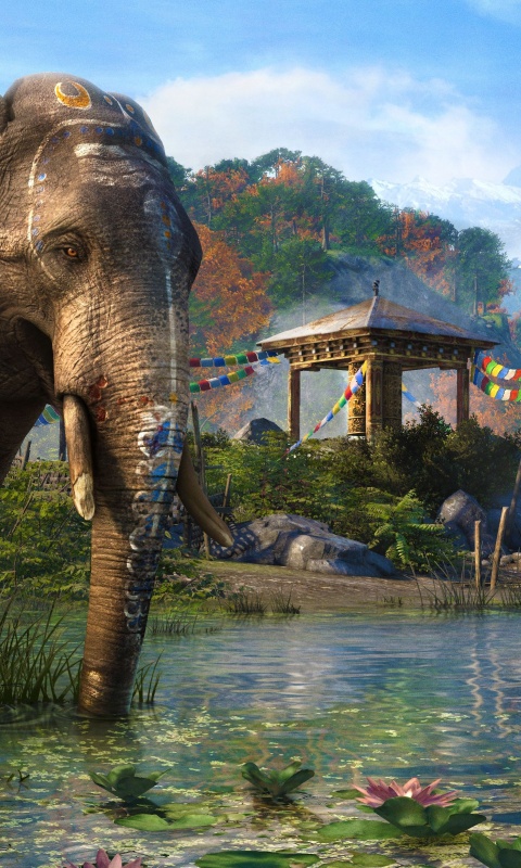 Слоники у воды обои