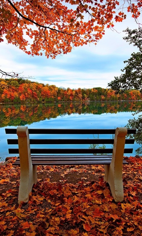 Вид на осеннее озеро обои