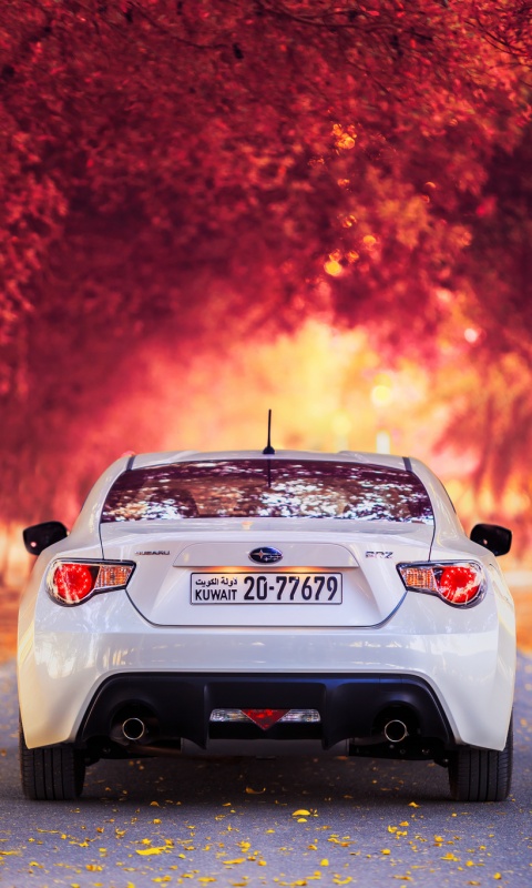 Субару на осенней дороге обои