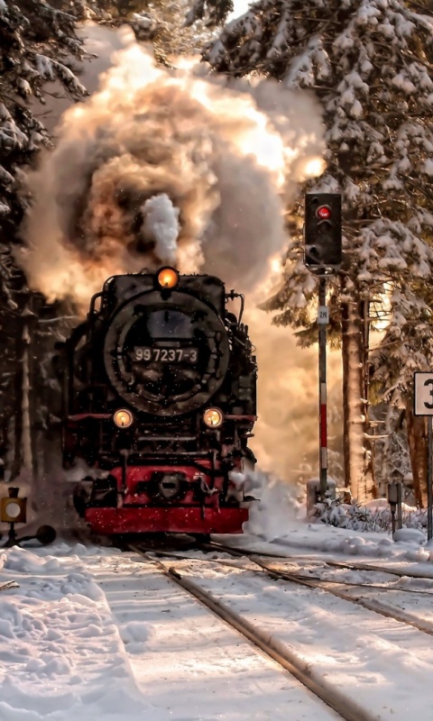 Паровоз в димнем лесу обои