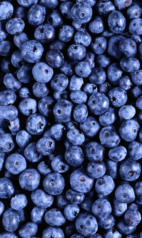 Черника обои