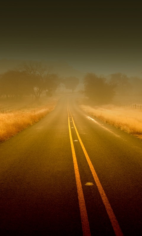 Туманная дорога обои