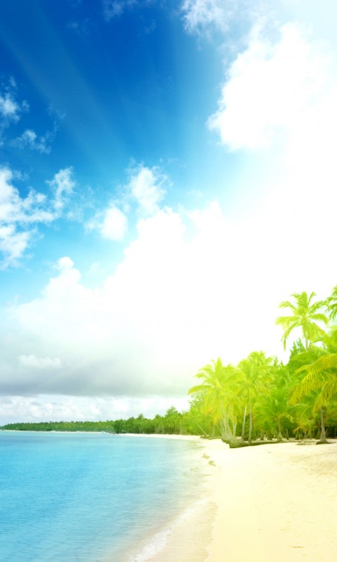 Тропическое побережье обои