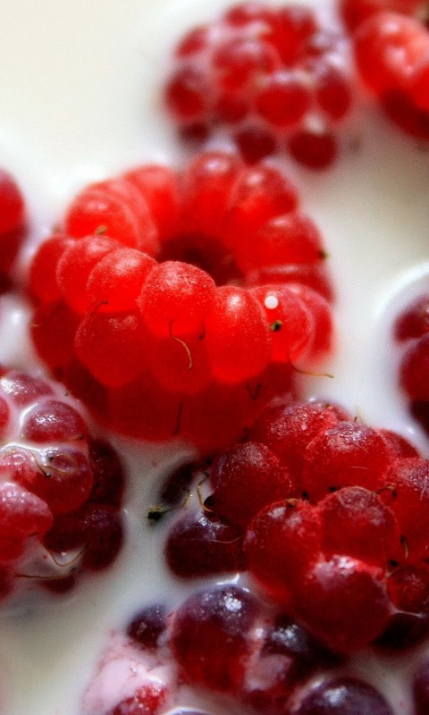 Малина в молоке обои