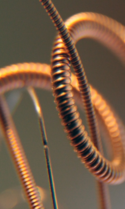 Пружина обои