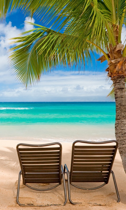 Шезлонги обои