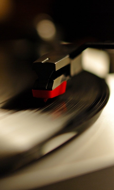 Пластинка обои