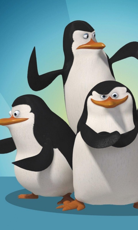 Мадагаскарские пингвины обои