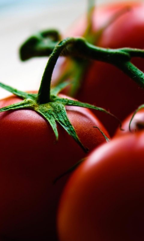 Аппетитные помидоры обои