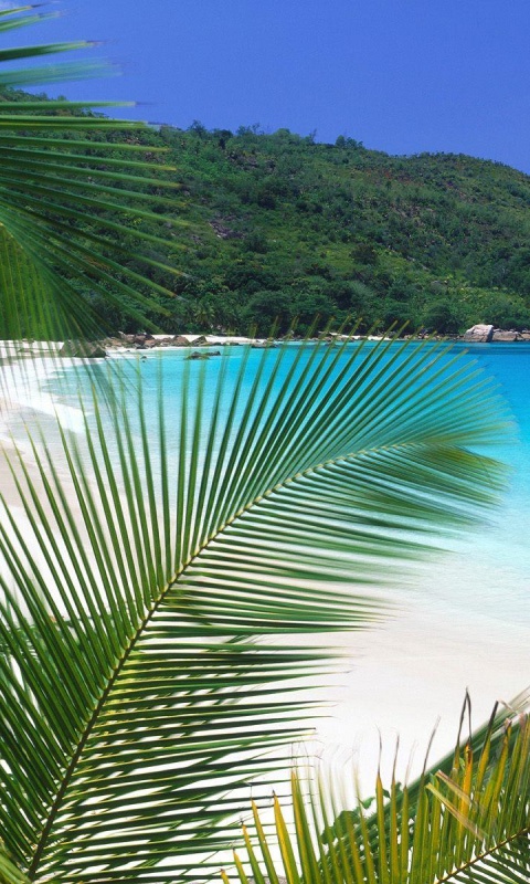 Лазурная лагуна обои