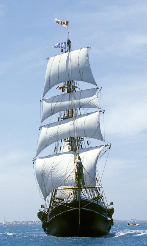 Парусник обои